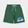 Lacoste Short De Bain - Green -Tenue Sport Homme Magasin 4064e63c457e43b8bcf9d6c47c14c63b